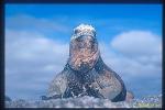 Galapagos, Ecuador