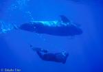 Pilot Whale 06 & Stephen 0803