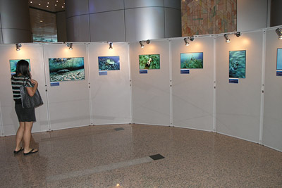 Our Photo Exhibition in Hong Kong. 水中写真展