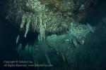 Chandelier Cave 03t 4109