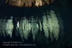 Chandelier Cave 06t 4133