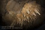 Chandelier Cave 12t 4173