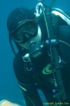 Diver Stephen 01t 1659