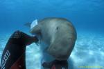 Hug me...Dugong 76 & myself