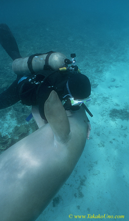 Hug me! Dugong 90 & diver