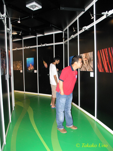 Stephen looking at my Exhibition